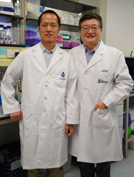 香港科技大學（科大）和香港大學李嘉誠醫學院（港大醫學院）一項聯合研究發現，源自本地 mRNA 疫苗接種者、針對SARS-CoV-2 Omicron變異株的廣譜中和抗體ZCB11，對所有受關注變異株（variants of concern, VOCs），包括當前主要流行的Omicron BA.1、BA.1.1 和 BA.2，均顯示出有效的抗病毒活性。研究團隊成員包括（左起）：科大理學院生命科學部助理教授黨尚宇教授、香港大學愛滋病研究所所長兼港大醫學院臨床醫學學院微生物學系陳志偉教授。