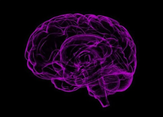 Neuroscience