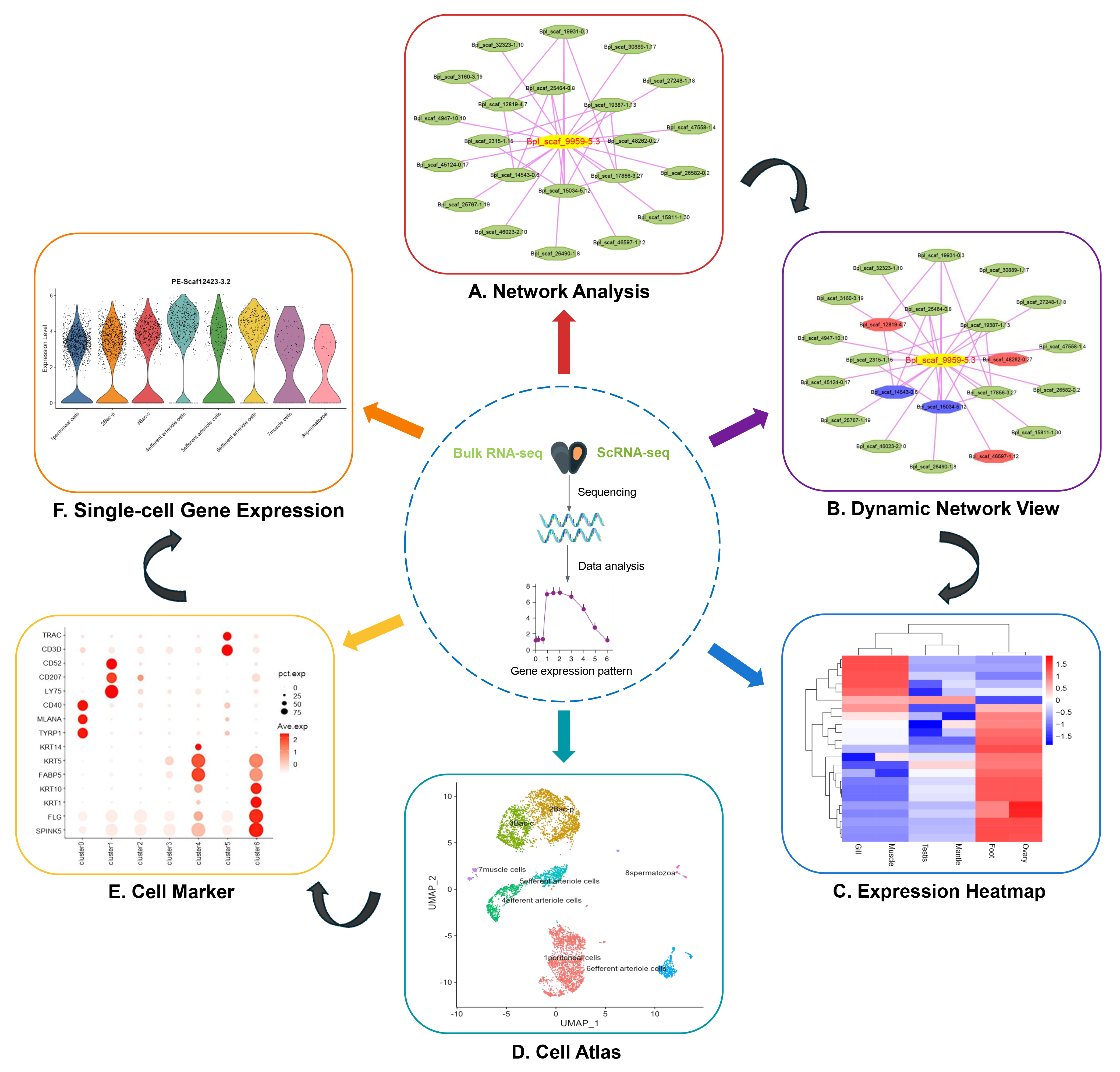customized genome browser