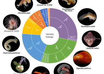 Deep-Sea Multi-Omics Resource Platform 