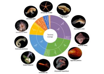 Deep-Sea Multi-Omics Resource Platform 